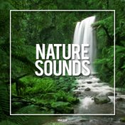 Nature Sounds 2019