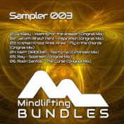 Sampler 003