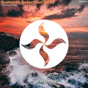 Summer Selection 2019