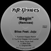 Begin (Remixes)