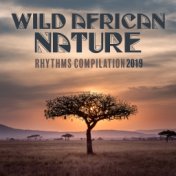 Wild African Nature Rhythms Compilation 2019