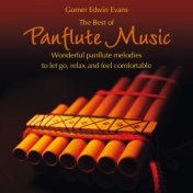 The Best of Panflute Music