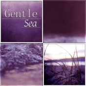 Gentle Sea - Calm Music for Reiki, Yoga Positions and Breathing Exercises, Natural Sounds for Pilates and Wellness, Relax Your B...