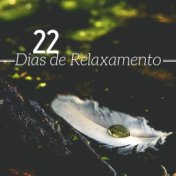 22 Dias de Relaxamento - Música relaxante para o seu crescimento espiritual, música relaxante para a mente e o corpo