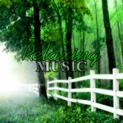 Relaxing Music – Piano Bar Background Music, New Age Relaxation, Yoga, Reiki, Nature Sounds for Deep Sleep, Calm Baby, Sleep Lul...