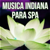 Musica Indiana para Spa - Mente e Espírito, Massagem para o Equilíbrio do Corpo, Sono Reparador, Bem Estar e Serenidade, Sons da...