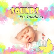 Sounds for Toddlers - New Age Soothing Sounds for Newborn, Bedtime Instrumental Sleeping Music, Music for Babies and Infants, Wh...