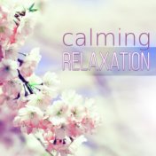 Calming Relaxation – Rain, Calm Relaxing Nature Sounds, Tai Chi, Water Sound, Sleep, Massage, Meditation, Serenity Music, Reduce...