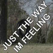 Just The Way I'm Feeling - Tribute to Feeder