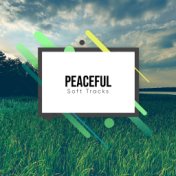 10 Peaceful Soft Sounds to Clear your Mind