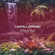 16 Loopable Ambience Noises to Provide Focus