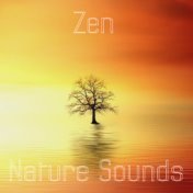 15 Zen Nature Sounds