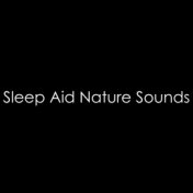 #14 Sleep Aid Nature Sounds, Sleep 8 Hours, Peaceful Sleep, Insomnia, Rain Sounds, Nature Music, Bliss