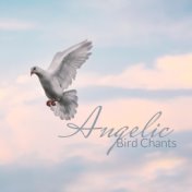 Angelic Bird Chants – Nature Sounds, Relaxation, Birds Singing