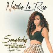 Somebody (Reggaeton Remix (Spanglish Version))