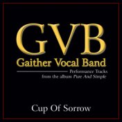 Cup Of Sorrow (Performance Tracks)