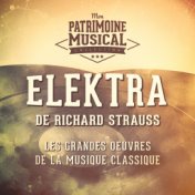 Les Grandes Oeuvres De La Musique Classique: « Elektra » De Richard Strauss