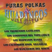 Puras Polkas & Huapangos (Instrumental)