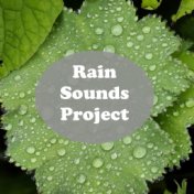 Rain Sounds Project