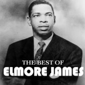 The Best Of Elmore James