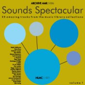 Sounds Spectacular: Nlmc 25 Amazing Music Library Tracks Volume 1