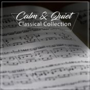 #20 Calm & Quiet Classical Collection
