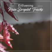 #16 Enlivening Rain Droplet Tracks from Nature