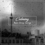 #20 Calming Rain Drop Songs