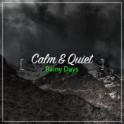 #20 Calm & Quiet Rainy Days