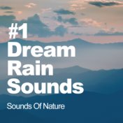 #1 Dream Rain Sounds