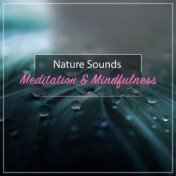 16 Ambient Rain and Nature Sounds - Meditation and Mindfulness Music