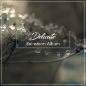 #15 Delicate Rainstorm Album