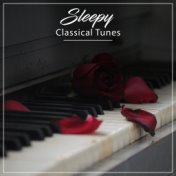 #13 Sleepy Classical Tunes