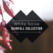 #16 White Noise Rainfall Collection