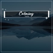 #20 Calming Tracks for Stress Relieving Meditation