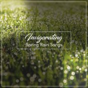 #15 Invigorating Spring Rain Songs from Nature