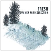 #11 Fresh Summer Rain Collection