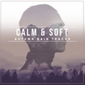 #12 Calm & Soft Autumn Rain Tracks for Sleep