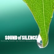 Sound of Silence - Serenity Music, Soothing Sounds Spa Nature Relaxation