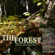 The Forest Chill Lounge, Vol. 13 (Deep Moods Music with Smooth Ambient & Chillout Tunes)