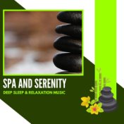 Spa And Serenity - Deep Sleep & Relaxation Music