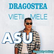 Dragostea vietii mele ( Feat. Boby & Nicky )