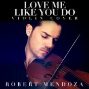 Love Me Like You Do (Violin Cover)