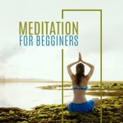 Meditation for Begginers - 15 Melodies that will Put You in a State of Total Concentration