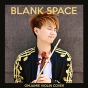 Blank Space (Violin Cover)