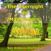 The Overnight Of Manglehorn