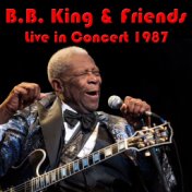 B.B.King & Friends: Live in Concert 1987