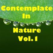 Contemplate In Nature, Vol.1