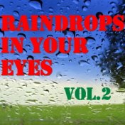 Raindrops In Your Eyes, Vol.2