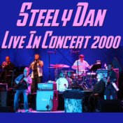 Steely Dan Live in Concert 2000